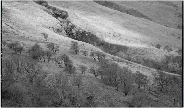 Sharron Kraus – Pilgrim Chants and Pastoral Trails